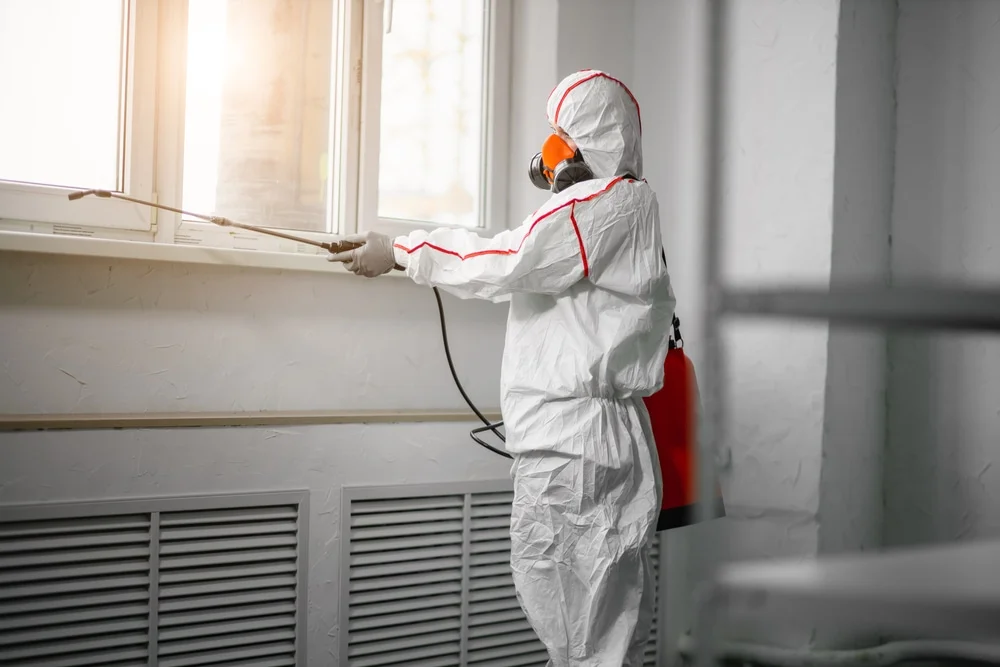 Professional mold remediation services in Vaughan, MS